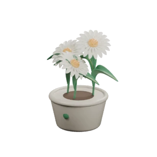 Illustrated daisy